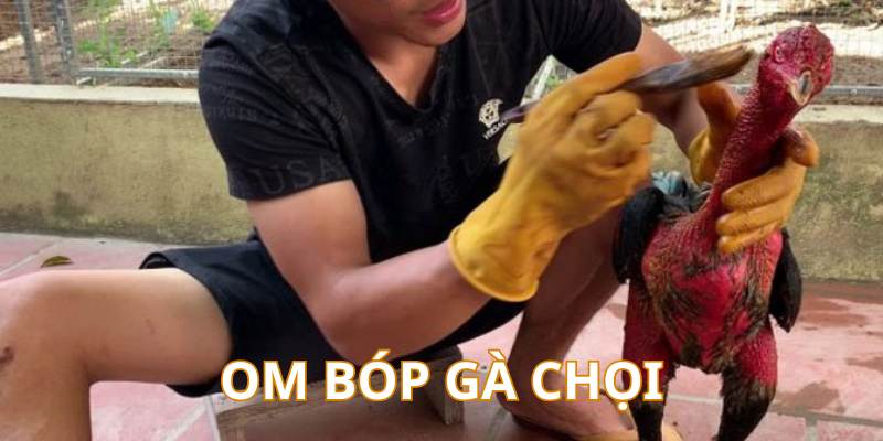Cách Nuôi Gà Chọi Chuẩn Từ Cao Thủ – Cẩm Nang Mới Nhất - hình ảnh - yrdinzvsg.top Cách Nuôi Gà Chọi Chuẩn Từ Cao Thủ – Cẩm Nang Mới Nhất - hình ảnh - yrdinzvsg.top