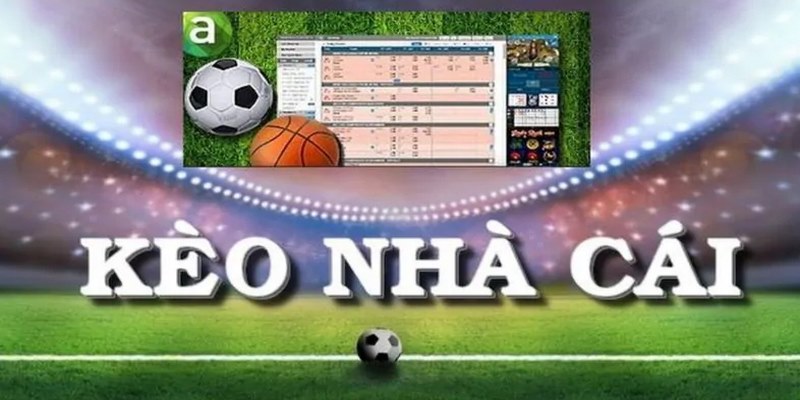 Kèo Nhà Cái – Nắm Bắt Cơ Hội, Nhận Ngay Thưởng Khủng - hình ảnh - yrdinzvsg.top Kèo Nhà Cái – Nắm Bắt Cơ Hội, Nhận Ngay Thưởng Khủng - hình ảnh - yrdinzvsg.top