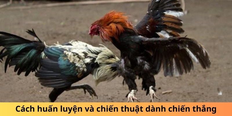 Gà Chuối Là Gì? Sự Thật Thú Vị Về Loài Gà Độc Đáo - hình ảnh - yrdinzvsg.top Gà Chuối Là Gì? Sự Thật Thú Vị Về Loài Gà Độc Đáo - hình ảnh - yrdinzvsg.top
