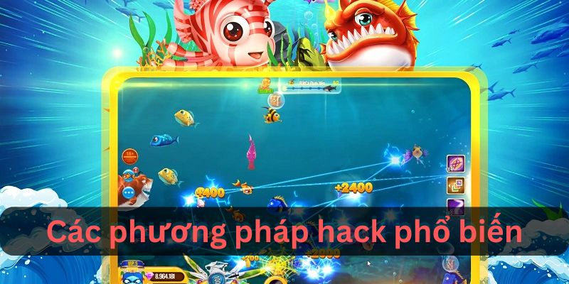 Hack Game Bắn Cá: Những Điều Bạn Cần Biết Trước Khi Sử Dụng - hình ảnh - yrdinzvsg.top