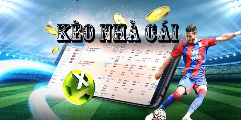 Thể Thao Hi88 - Hi88 - hình ảnh - yrdinzvsg.top Thể Thao Hi88 - Hi88 - hình ảnh - yrdinzvsg.top