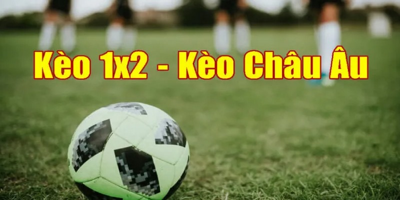 Kèo Nhà Cái – Nắm Bắt Cơ Hội, Nhận Ngay Thưởng Khủng - hình ảnh - yrdinzvsg.top Kèo Nhà Cái – Nắm Bắt Cơ Hội, Nhận Ngay Thưởng Khủng - hình ảnh - yrdinzvsg.top