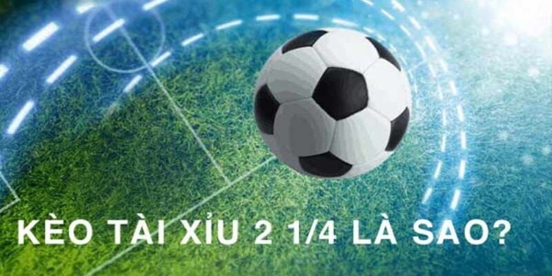 Thể Thao Hi88 - Hi88 - hình ảnh - yrdinzvsg.top Thể Thao Hi88 - Hi88 - hình ảnh - yrdinzvsg.top