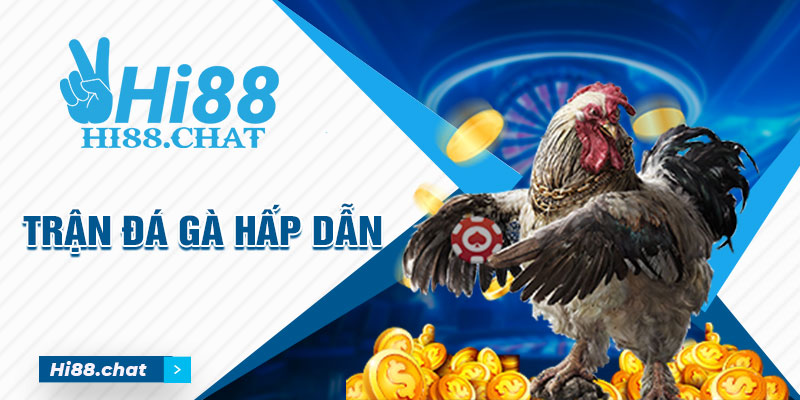 Giải Mã Sức Hút Khó Cưỡng Lại Của Đá Gà Trực Tuyến Cựa Dao - hình ảnh - yrdinzvsg.top Giải Mã Sức Hút Khó Cưỡng Lại Của Đá Gà Trực Tuyến Cựa Dao - hình ảnh - yrdinzvsg.top