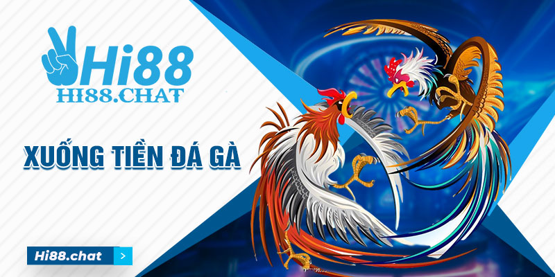 Đá Gà Hi88 - Hi88 - hình ảnh - yrdinzvsg.top Đá Gà Hi88 - Hi88 - hình ảnh - yrdinzvsg.top